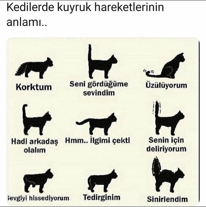 Bakınn🤨🤨😂🤨🤨