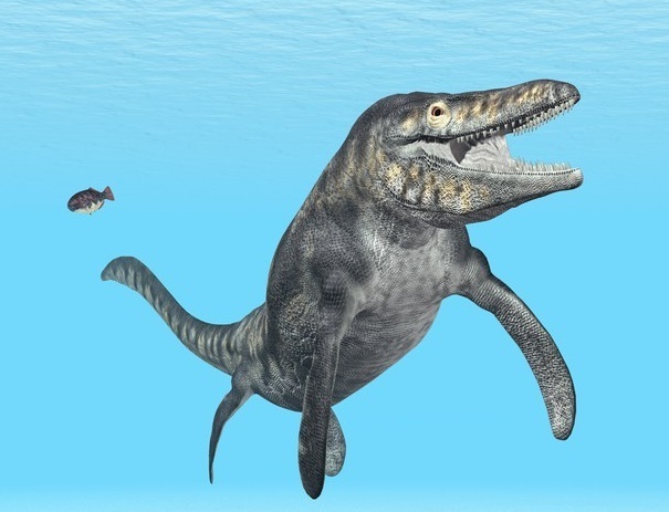 En sevdiğiniz dinozor türü hangisi?