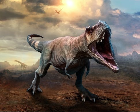 En sevdiğiniz dinozor türü hangisi?