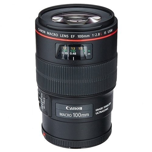 Canon 100mm f/2.8 vs Canon 50mm f/1.8. Sizce hangisi daha iyi?