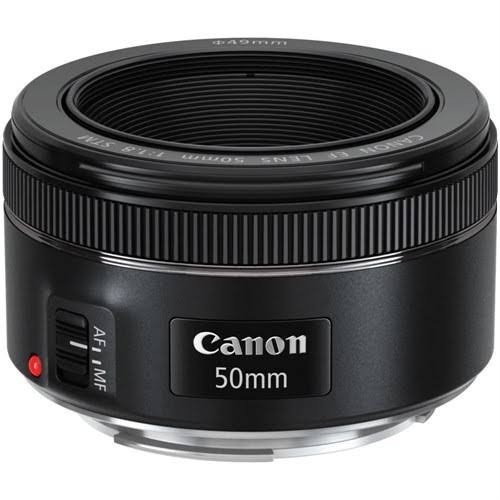 Canon 100mm f/2.8 vs Canon 50mm f/1.8. Sizce hangisi daha iyi?
