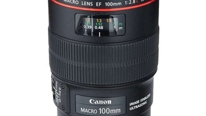 Canon 100mm f/2.8 vs Canon 50mm f/1.8. Sizce hangisi daha iyi?