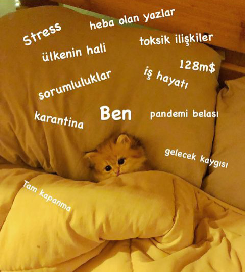 Buruk bir bayram gününden merhaba :) Bugün ruh haliniz nasıl?