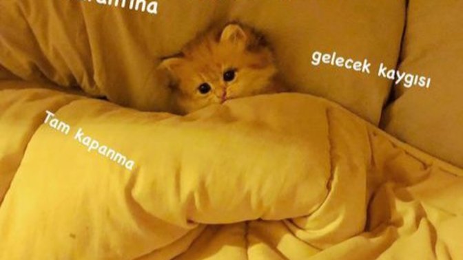Buruk bir bayram gününden merhaba :) Bugün ruh haliniz nasıl?
