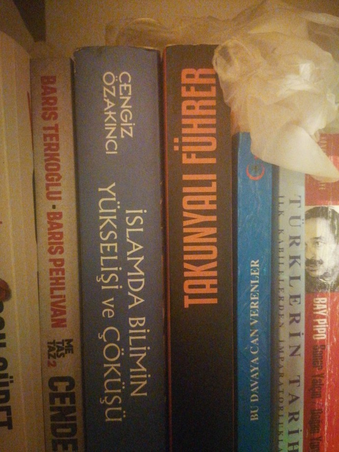 Müslümanların geri kalma sebepleri nelerdir?