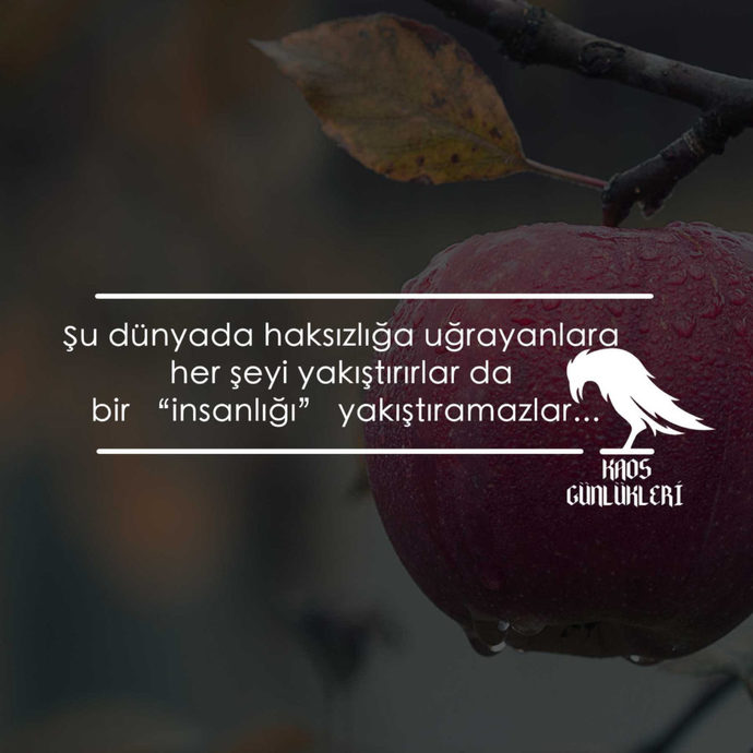 Haksızlığa uğradığınızda hakkınızı ararmısınız? sessiz mi kalırsınız?
