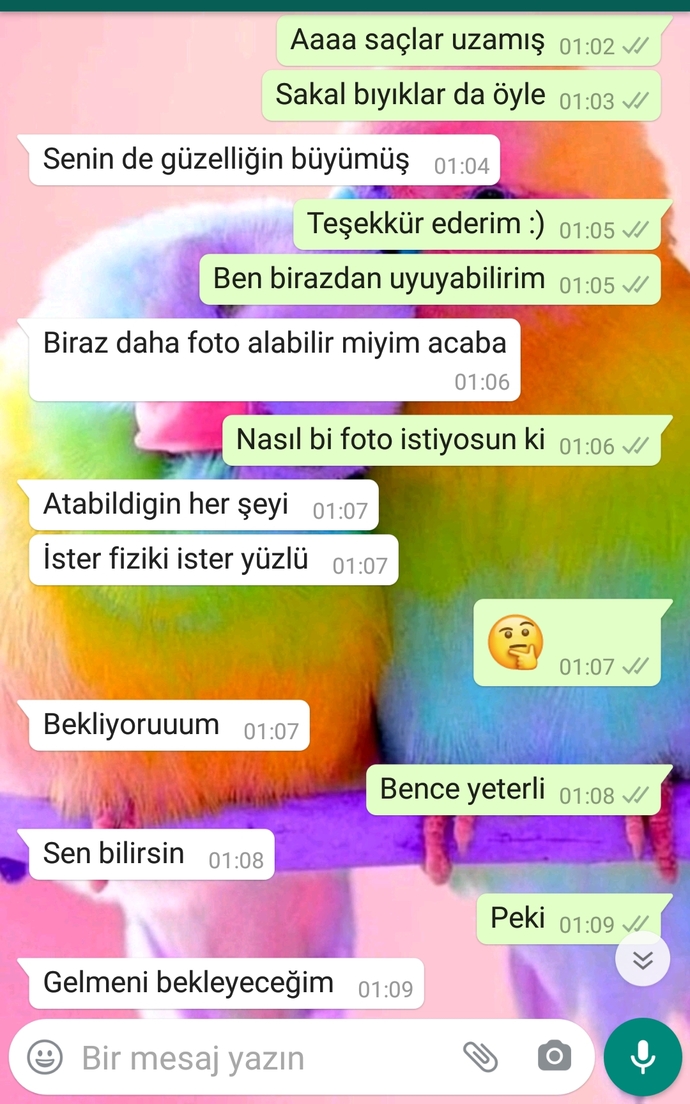 Kırsan da fark etmez ne demek?