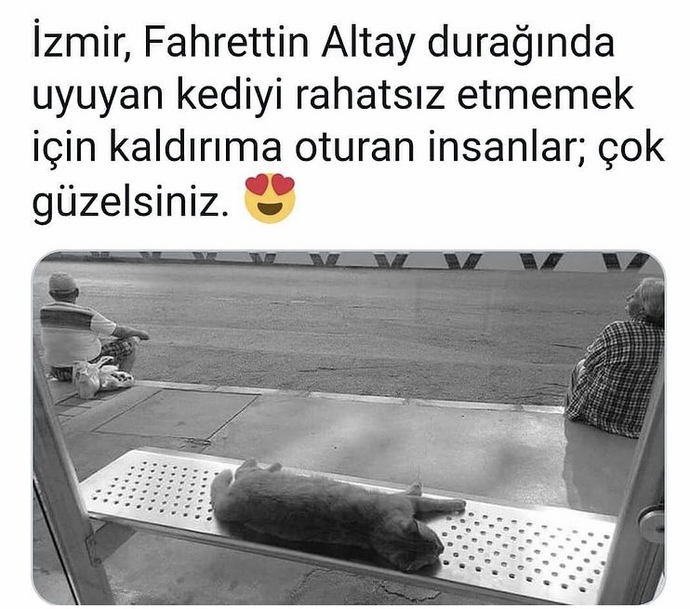İnsanlığın ölmediğini gösteren fotoğraflar sizi de etkiliyor mu?