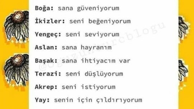 Karsindaki burca soyleyebilecegin en guzel sey nedir acaba?
