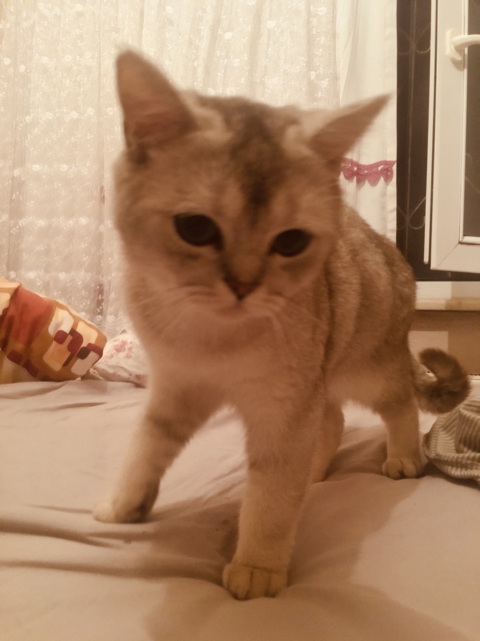 Şu an kiminle birliktesiniz  ya da  kiminle olmak isterdiniz?