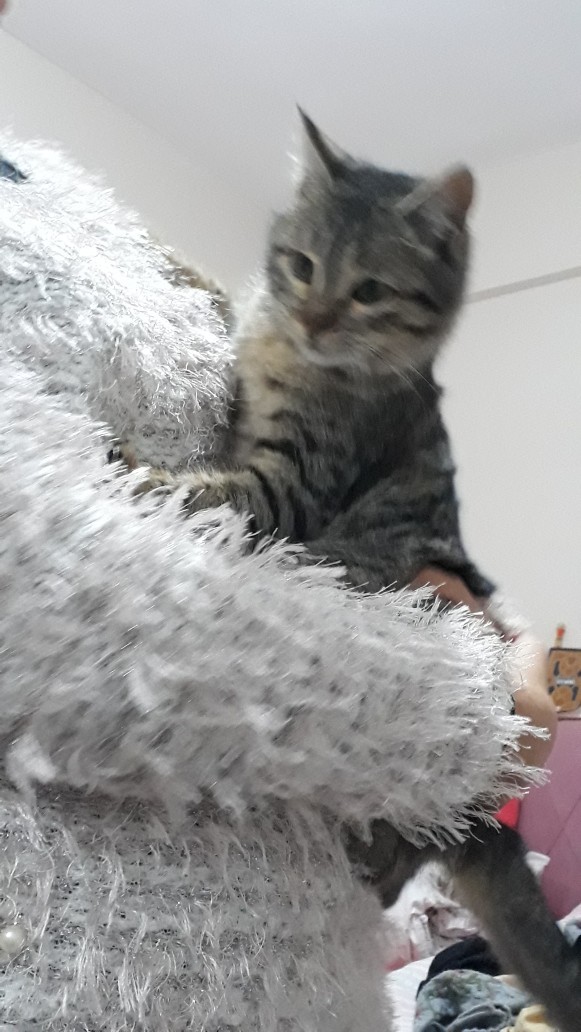 Şu an kiminle birliktesiniz  ya da  kiminle olmak isterdiniz?