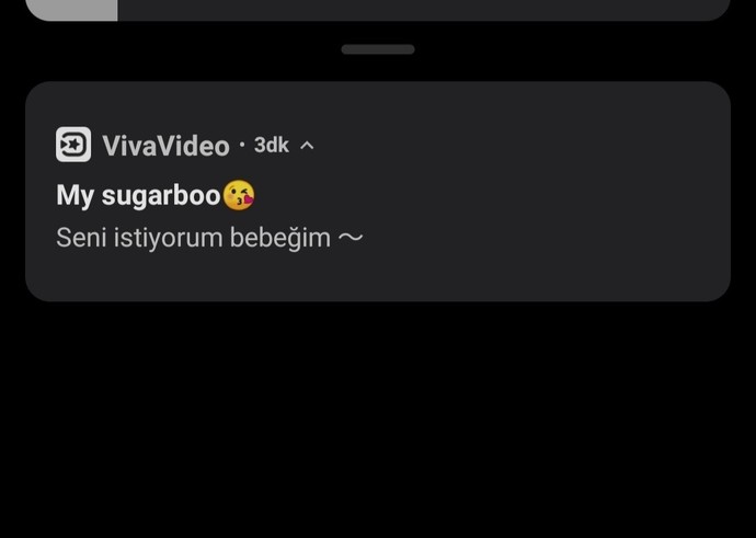 Uygulama bildirimlerini sever misiniz?
