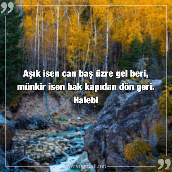 Sevgilinizin evlenme teklif ettiği yüzüğü beğenmeseniz diz çökmüş sevgilinizi bir tekmeyle yere düşürür müsünüz?
