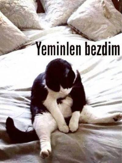 Bu nasıl bir uyuma şeklidir, bu kadar tatlı uyuyan kim var?