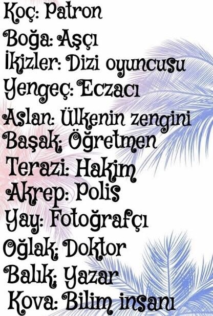 Burcuna göre hangi mesleğin adamı/kadınısın?