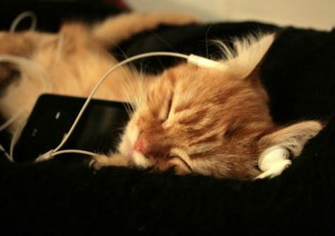 Beyninizin arka fonunda çalan müzik nedir?