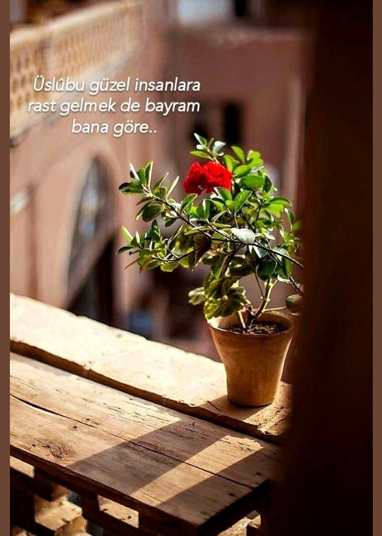 Nasıl bir üslûba sahipsiniz?