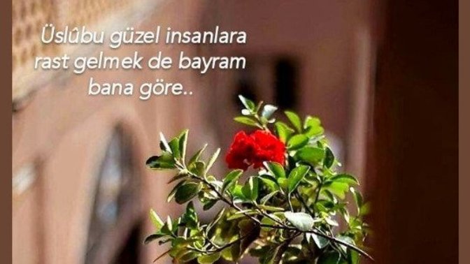 Nasıl bir üslûba sahipsiniz?