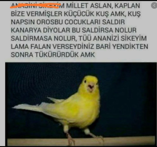 Şampiyon Beşiktaş! Ne düşünüyorsunuz?