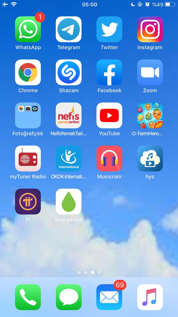 Telefonunuzun duvar kağıdında (ana ekranında) hangi resim var?