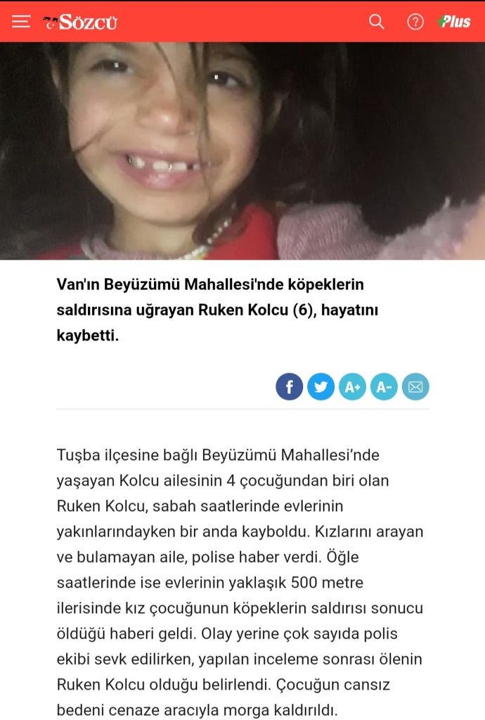 Köpeklerin saldırdığı 6 yaşındaki Ruken öldü. Bu çocuğun ölümünün gerçek sorumlusu kim?