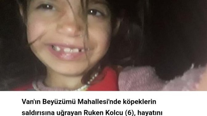 Köpeklerin saldırdığı 6 yaşındaki Ruken öldü. Bu çocuğun ölümünün gerçek sorumlusu kim?