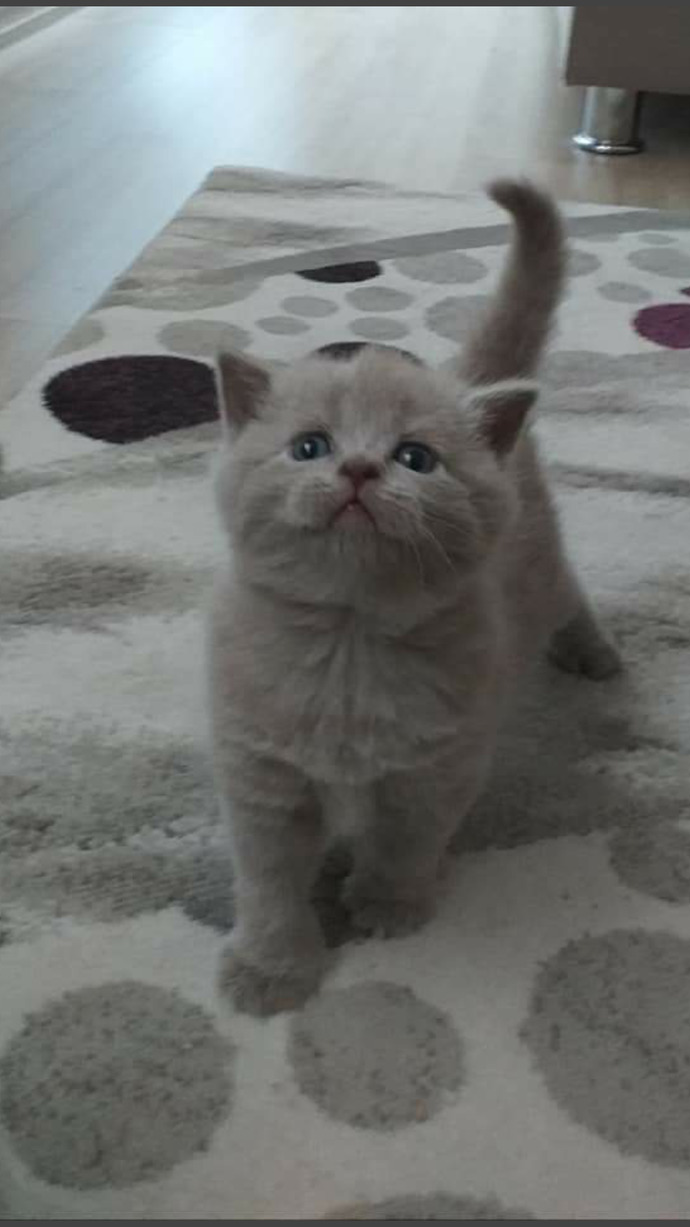 Anne/Baba olmak ister miydiniz?