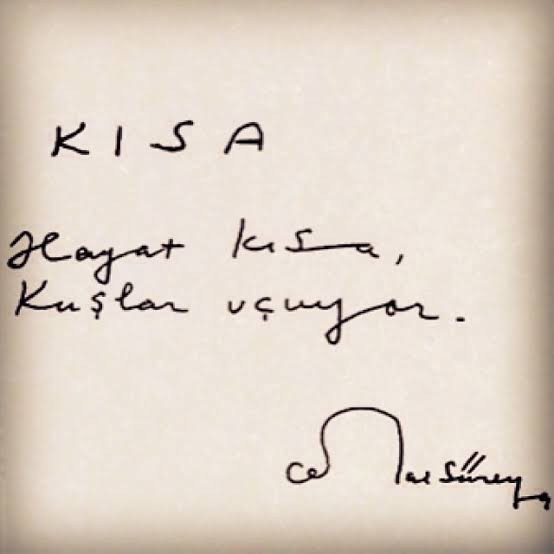 40 yaşında bekar ve çocuksuzum. Ne olacak benim bu halim?