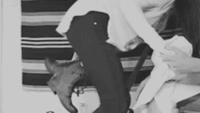 Günlük ilişkilerin dışında ciddi bir ilişkide, evlenmeden yaşanan cinsel birliktelik aşkı öldürür mü güçlendirir mi?