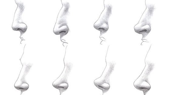 Sizce ideal/güzel bir burun nasıl olmalı?