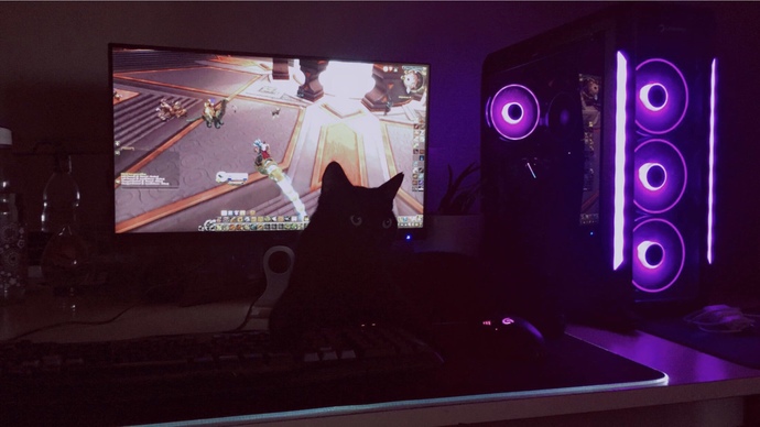 Bu kedi niye sürekli ben oyun oynarken klavyemin üzerine uzanıyor?