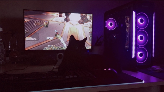 Bu kedi niye sürekli ben oyun oynarken klavyemin üzerine uzanıyor?