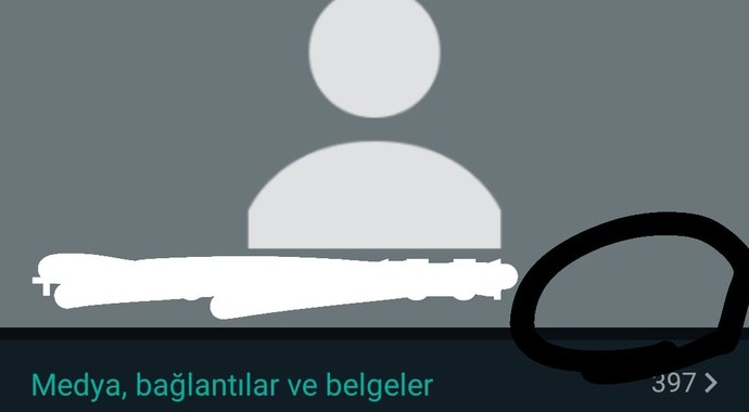 Ben sildim o engelledi ama neden kendine koydugu ismi goremiyorum?