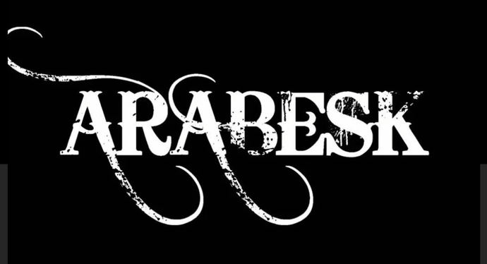 Müzik tarzını şöyle  hangisi favorin ?
