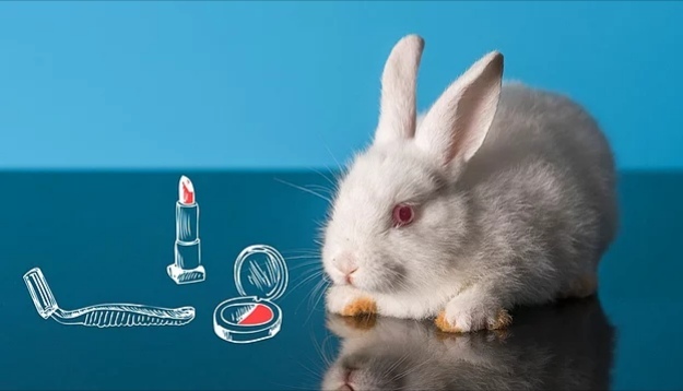 Kozmetik ve bakım ürünlerinde cruelty-free etiketi olanları kullanmaya dikkat eder misin?