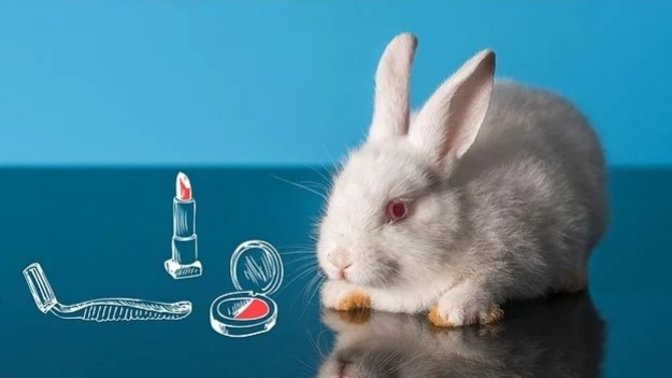 Kozmetik ve bakım ürünlerinde cruelty-free etiketi olanları kullanmaya dikkat eder misin?
