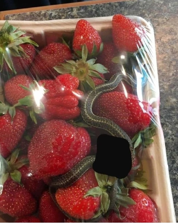 Çelik aldım sever misiniz🔴🔴?