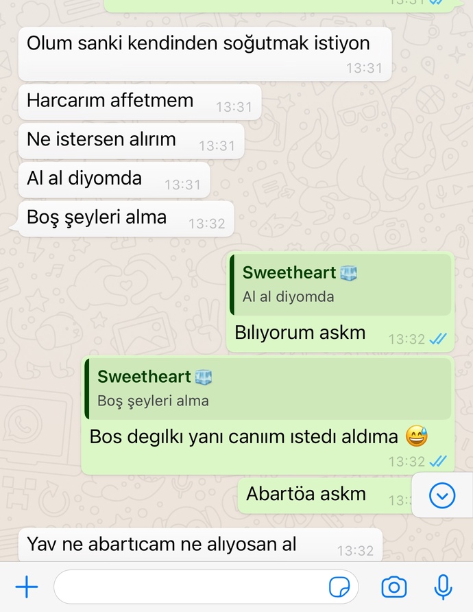 Harcamayı sevıyorum dıye boyle soyledı sızce sevıyomu?