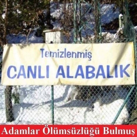Bu nasıl iş dostlar?