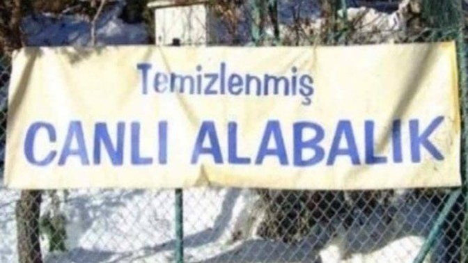 Bu nasıl iş dostlar?