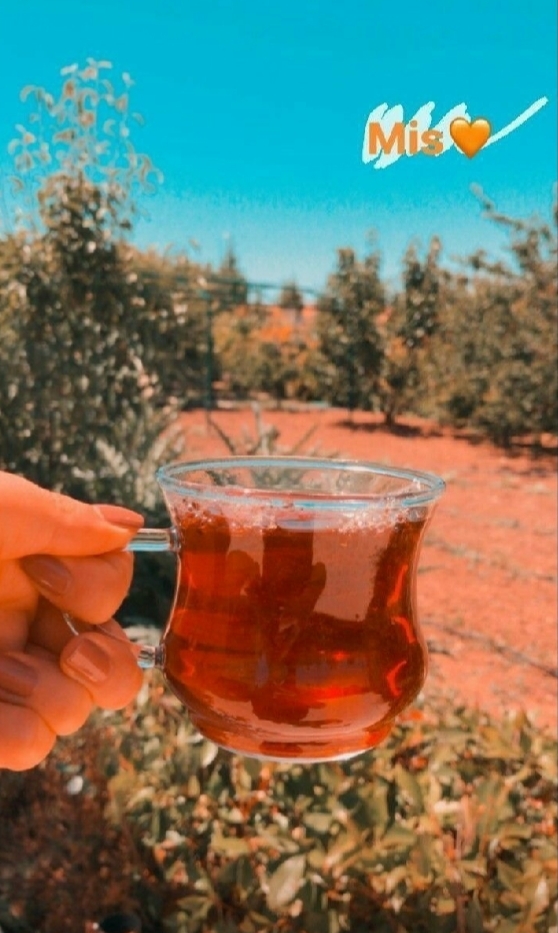 Yeni yerlere kolay uyum sağlar mısınız, yoksa zor mu alışırsınız?
