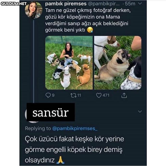 Gereksiz ve manasız duyarlar (Örnek resimler içerir) ?