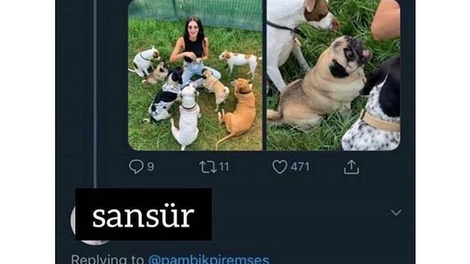 Gereksiz ve manasız duyarlar (Örnek resimler içerir) ?