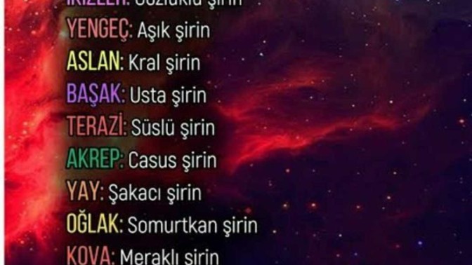Burcuna göre hangi şirinsin?