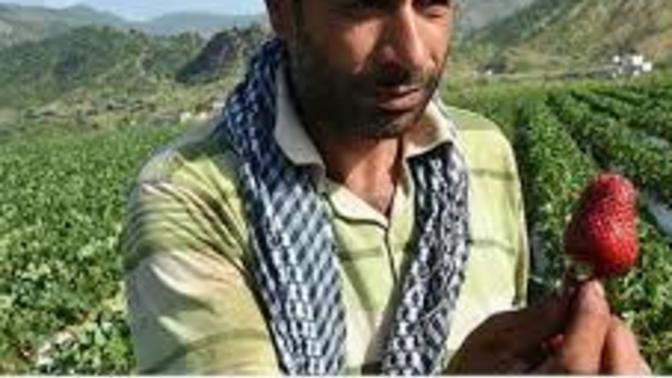 Bir öğretmen bir toplumun kaderini değiştirebilir mi?