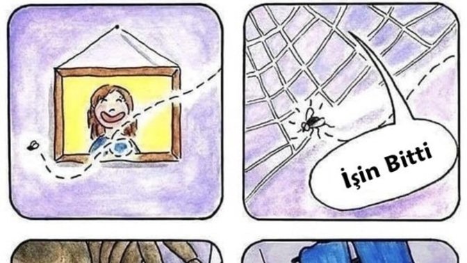 Örümcekleri sever misiniz?