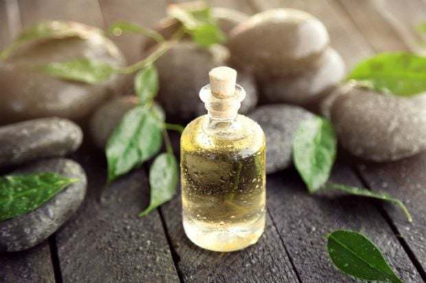 Çay ağacı yağı nasıl kullanılır, zararı veya yararı nedir?