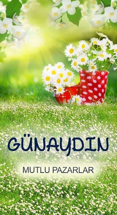 “Ama ben uyuyacaktım. Yine erken uyandım” diyenleriniz burda mı? Niye erken kalktınız?