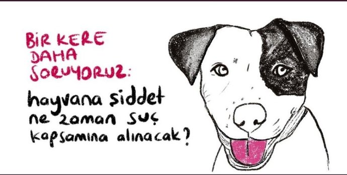 Hayvan hakları yasasının bir türlü çıkmaması hakkında ne düşünüyorsunuz?
