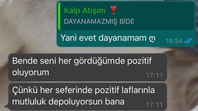 Bunu diyen erkek seviyor mudur sizce?